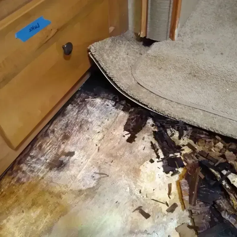 Best Wood Floor Water Damage Service in Bergen County, NJ